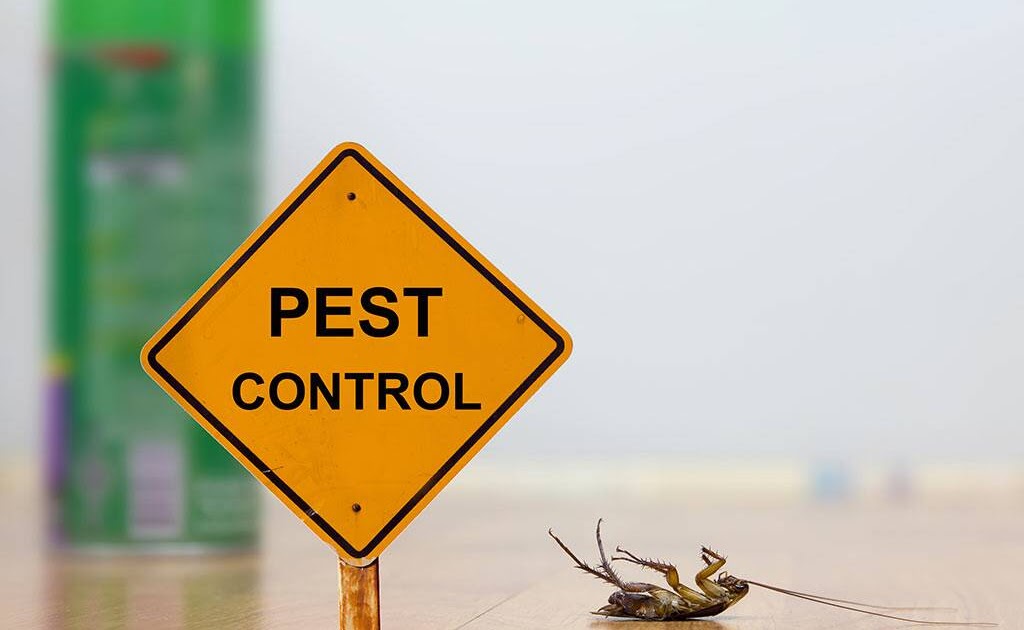 Tindale Pest Control Is Your Trusted Partner in Pest Control in Ocala, FL